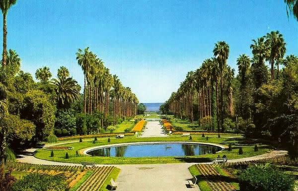 حديقة الحامة بالجزائر .. ثالث حديقة تاريخية في العالم..  ESSAI4
