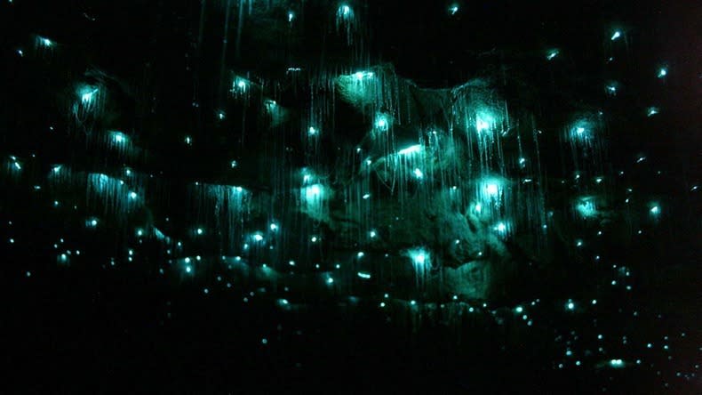  كهف الديدان المضيئة في نيوزيلندا  Glowworm-caves-waitom-2%25255B2%25255D