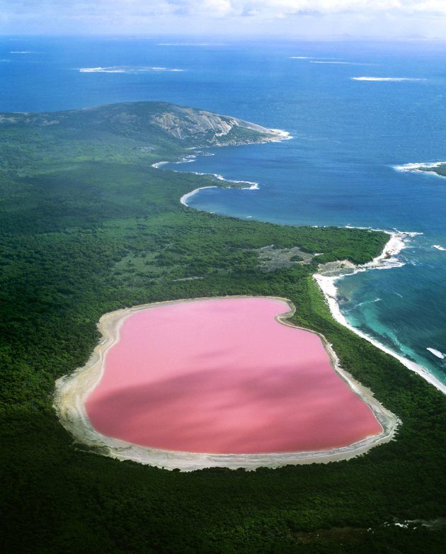 Le-lac-rose---Australie-jpg_141941.jpg