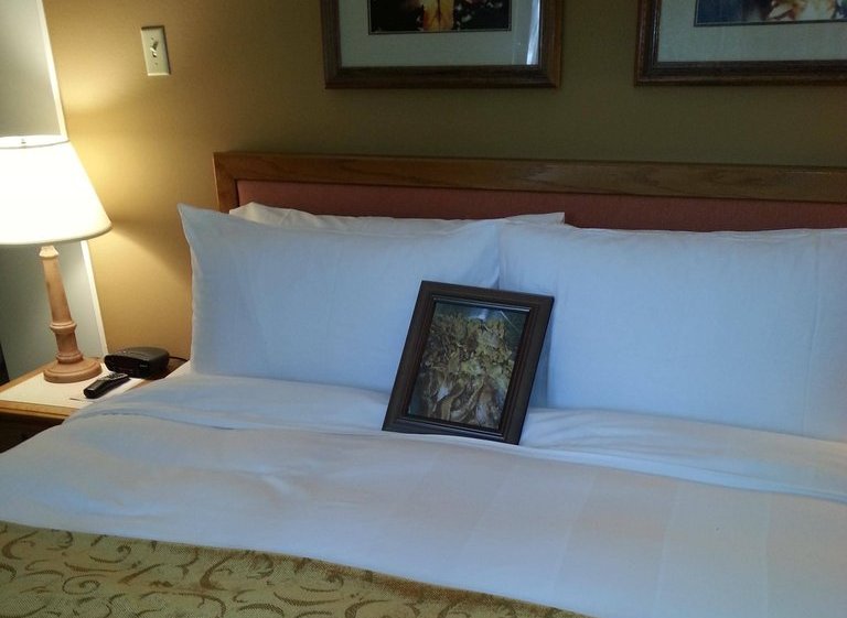 a bed with a picture on it