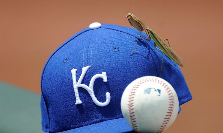 The Kansas City Royals' Rally Mantis perched on a hat. (Getty Images)