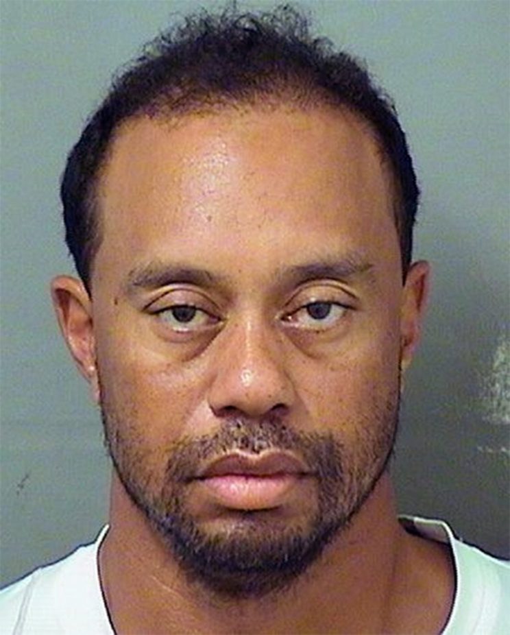 Tiger Woods mug shot