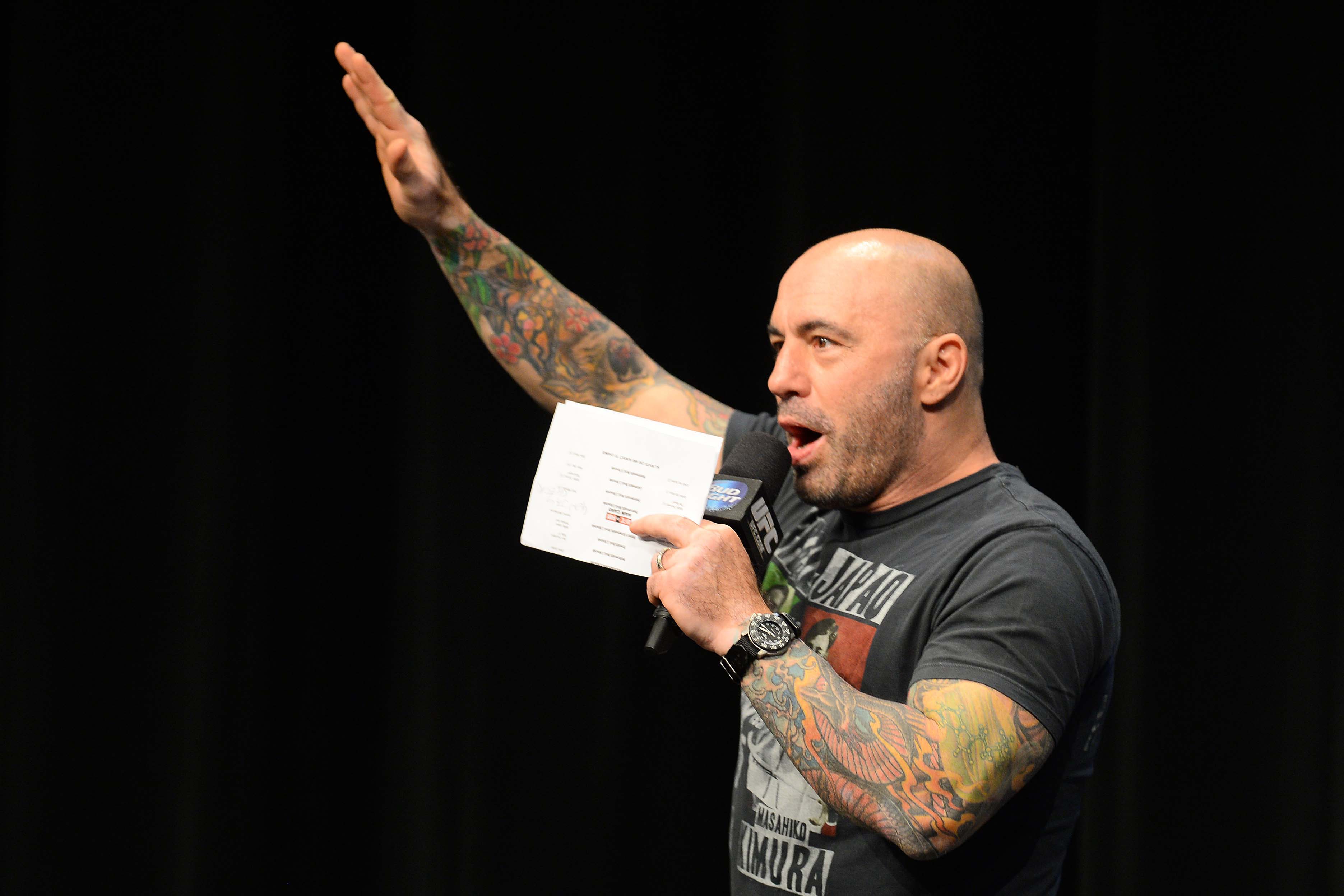 UFC announcer Joe Rogan. (Joe Camporeale-USA TODAY Sports)