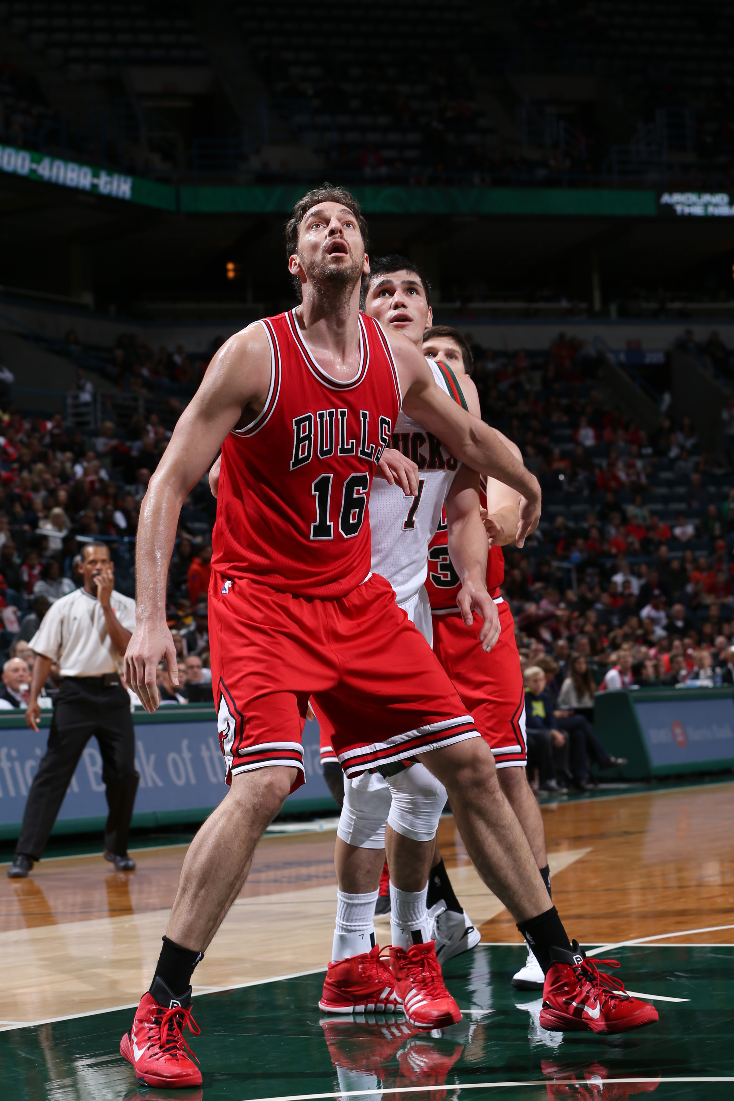 MILWAUKEE, WI - OCTOBER 11: Â Pau Gasol #16 of the Chicago Bulls looks for the rebound against the Milwaukee Bucks during the game on October 11, 2014 at BMO Harris Bradley Center, Milwaukee, Wisconsin. (Photo by Gary Dineen/NBAE via Getty Images)