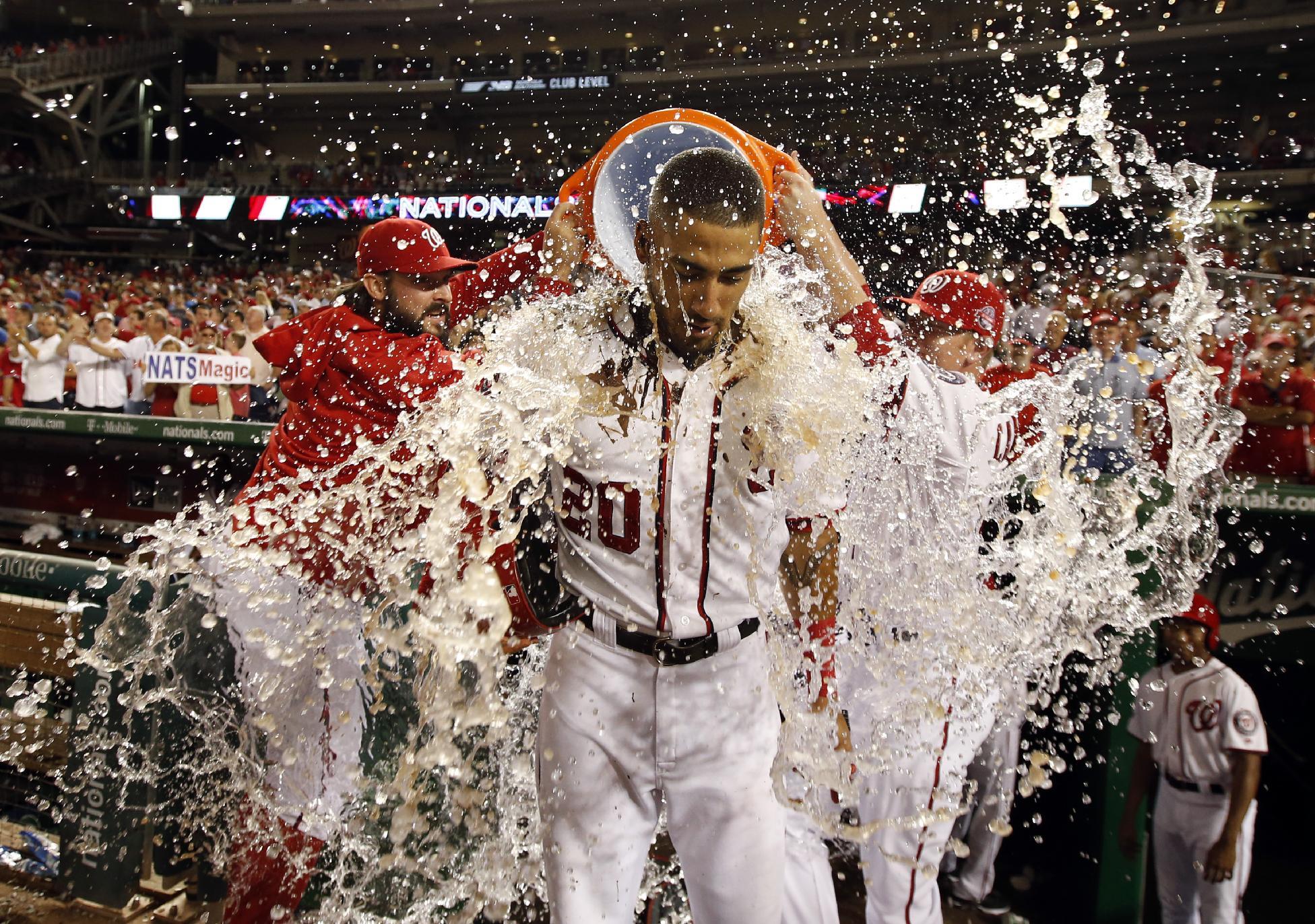 (AP Photo/Alex Brandon)