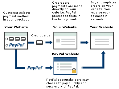 Paypal Website