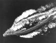 USS Utah: The Forgotten (Drone) Battleship Sunk at Pearl Harbor