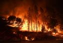 New Horrifying Details Released About Fire Tornado That Killed California Firefighter