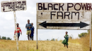 Is Zimbabwe extending an olive branch to its white farmers?