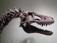Fossil hunter tries to sell baby T-Rex skeleton on eBay for £2.25m, enraging scientists