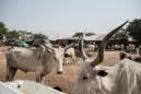 Gunmen kill 16 villagers in northern Nigeria: officials