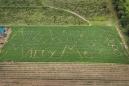 Man turns family's farm into a sweet — and corny — proposal