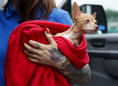 Animals evacuated from Virginia ahead of Hurricane Florence