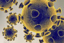 Patient who wasn't immediately tested could be first coronavirus case without clear source