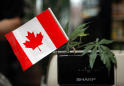 Yahoo News Explains: What Canada’s cannabis legalization will look like