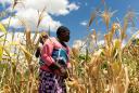 Zimbabwe facing 'man-made' starvation, UN expert warns