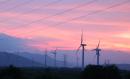 Wind farm 'predator' effect hits ecosystems: study