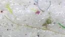 Arctic sea ice loaded with microplastics