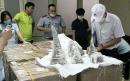 Vietnam seizes 125 kg of rhino horn worth £6m concealed in plaster shipment