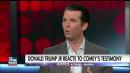 Trump Jr. appears to contradict father's claim he never told Comey he hoped FBI director would end Flynn probe