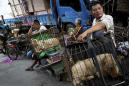 China reclassifies dogs as pets, not livestock
