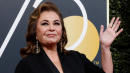 Roseanne Returns To Twitter To Push More Racism