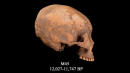 12,000 Years Ago, a Boy Had His Skull Squashed into a Cone Shape. It's the Oldest Evidence of Such Head-Shaping.
