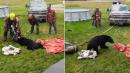 Minnesota Firefighters Rescue Bear with Its Head Stuck in Milk Can