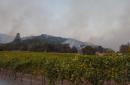 Green vineyards stand out in black of California fires