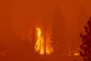 'Extreme behavior': California sets record as wildfires torch more than 2M acres this year