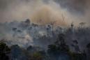 Scientists and environmental groups 'alarmed' by huge rise in Amazon wildfires