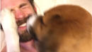 Chris Evans' Dog Shows Us All What True Love Looks Like