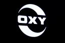 Occidental nears deal with activist Icahn on proxy battle: source