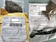 The USDA has identified some of the mystery seeds sent unsolicited from China as herbs like rosemary and sage