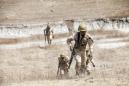 US leads training exercises in Africa amid focus on Sahel