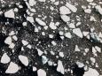 Arctic sea ice suffers 'devastating' loss, shrinks to second lowest on record