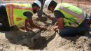 Colorado Construction Crew Finds 66-Million-Year-Old Triceratops Fossil
