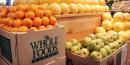Here's Exactly How Much Cheaper Groceries Are At Whole Foods, Starting Now