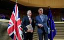 UK can reach 'broad outline' of Brexit political agreement over summer, negotiators to tell EU