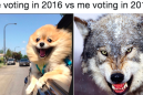 The 'Me voting in 2016 vs. Me voting in 2018' meme captures our collective exhaustion