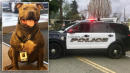 Pit Bull Formerly on Euthanasia List Now a Top K9 Agent With Police Department