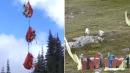 Goats in Washington's Olympic National Park Airlifted to Forest to Protect Population