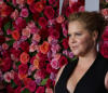 No One Wants to Spend Christmas Like Mom-to-Be Amy Schumer Did