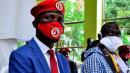 Bobi Wine: Ugandan pop star politician's office raided