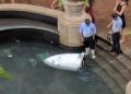 The 'suicidal robot' that drowned in a fountain didn't kill itself after all