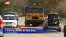 Twin boys, 6, and 9-year-old sister fatally struck at school bus stop in Rochester, Indiana