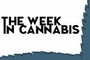 The Week In Cannabis: Peltz's Departure, Earnings, Stocks Slightly Down