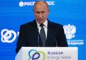 Oil price of $65-$75 per barrel would 'suit' Russia: Putin