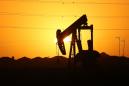 OPEC wants 'collective efforts' to counter US oil output
