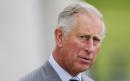 Environmental crisis will 'dwarf' pandemic's damage, warns Prince Charles